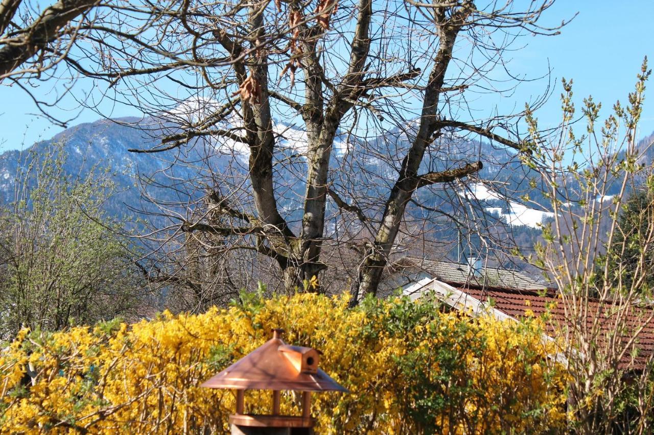 Villa Fetznhof-Zuhaus à Grassau  Extérieur photo
